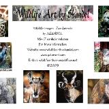 Note Cards: Zoo Animals