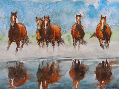 Brown wild horses, 35cm x 50cm, 2014