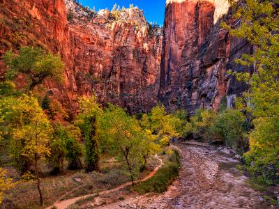 Zion Autumn Riverside Walk Overlook Zion Autumn Riverside Walk Overlook