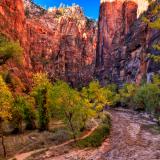 Zion Autumn Riverside Walk Overlook