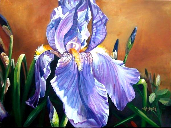 Vibrant Iris
