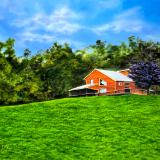 Fred's House