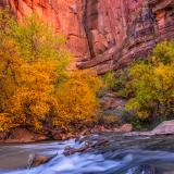 Red Cliffs Autumn Leaves and Blue Virgin River Waterfall