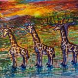 Giraffe Drama