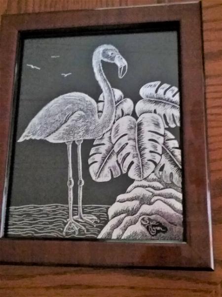 Flamingo