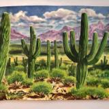 Saguaros and Mountains