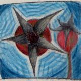 A Pentagram by Any other Name*, 2006