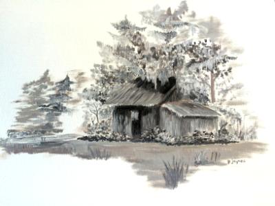 Swamp Shack Swamp Shack