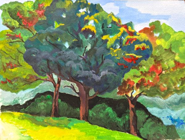 Trees in South Park