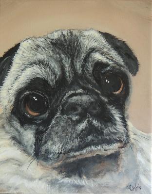 In Memory of Sadie In Memory of Sadie