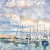  Shell Marina-Tampa Bay-available through Fernwood 1892 Fennville Mi.
