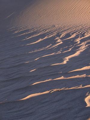 Sand Waves Sand Waves