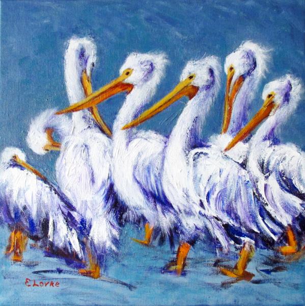 Birds of a Feather