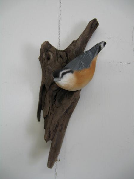Red Breasted Nuthatch #5
