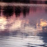 Monet Reflection
