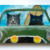 TWO SURFING CATS IN A MINI COOPER
