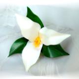  Flower Sculptures