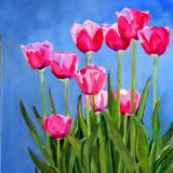 Pink Tulips Tall