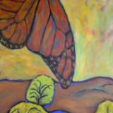 High Above the Desert Acacia Trees
