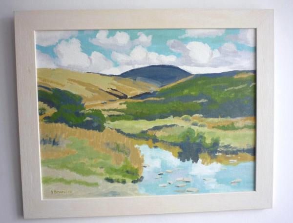 Summer at the river Lyd, West Dartmoor.