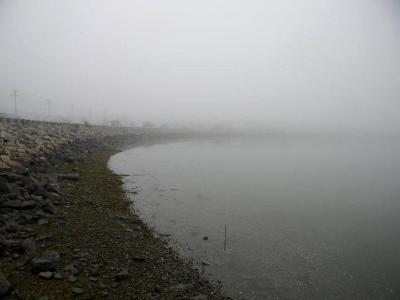 Fog across the bay