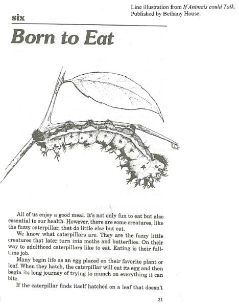 Born to Eat