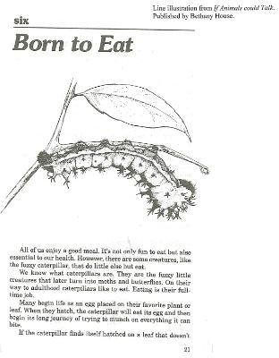 Born to Eat Born to Eat