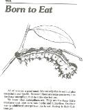 Born to Eat