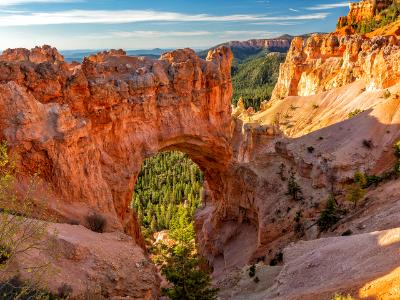 Bryce Canyon Natural Bridge in Morning Light Bryce Canyon Natural Bridge in Morning Light