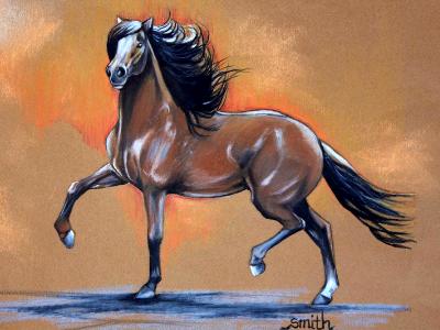 Prancing Paso Fino Prancing Paso Fino