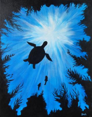 Turtle Cove Turtle Cove