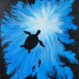 Turtle Cove
