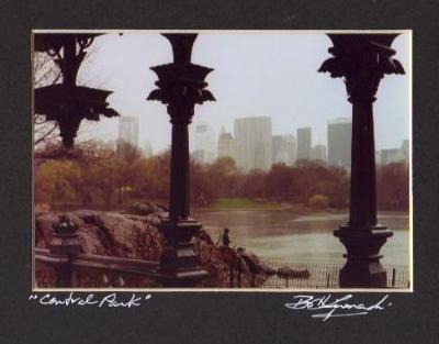 Central Park Pavilion Central Park Pavilion