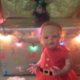 Christmas 2016 Show entry: Willow  (J.Price)