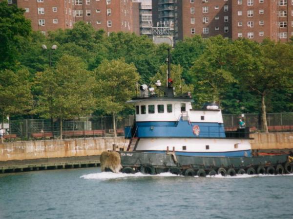 On the East River by Manhattan