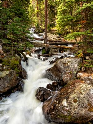 Calypso Cascades and Quiet Forest Calypso Cascades and Quiet Forest