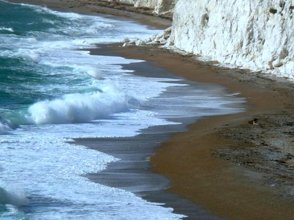 Zig Zag Shore Line