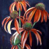 Meadowbright L'Orange SOLD