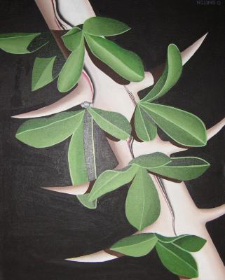 Crown of Thorns 18" x 24" Crown of Thorns 18" x 24"