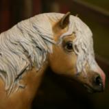 Breyer MR MIST - Custom SOLD