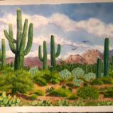 Saguaros and Desert Plants