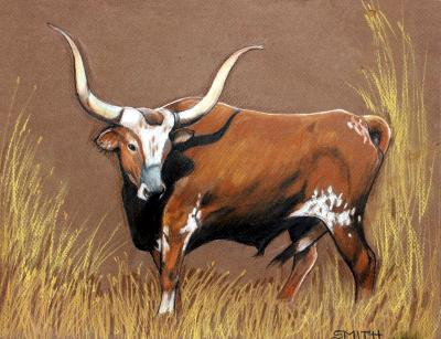 Lost Longhorn Lost Longhorn