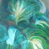 Garden Fresh, Hosta