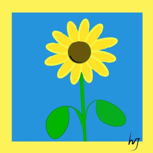 sunflower 