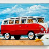 BUS FULL OF DOGS MEETS MR. SEAGULL