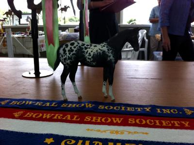 Bowral LIVE 2011