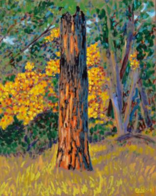 Autumn Light Autumn Light