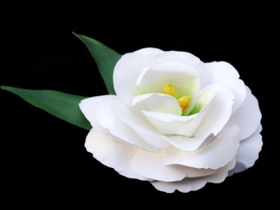 Lisianthus Flower Pin Lisianthus Flower Pin