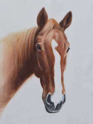 PRINZ, 25cm x 35cm, 2017 PRINZ, 25cm x 35cm, 2017