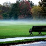 A Touch of Mist